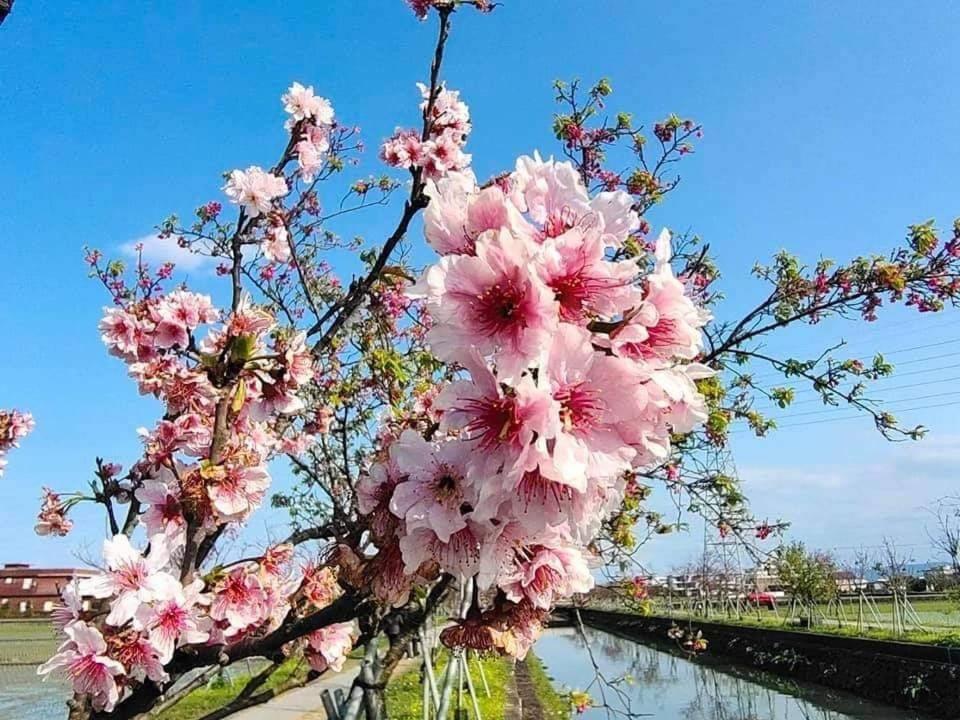 尚閤屋包棟民宿 Wujie Buitenkant foto