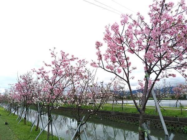 尚閤屋包棟民宿 Wujie Buitenkant foto